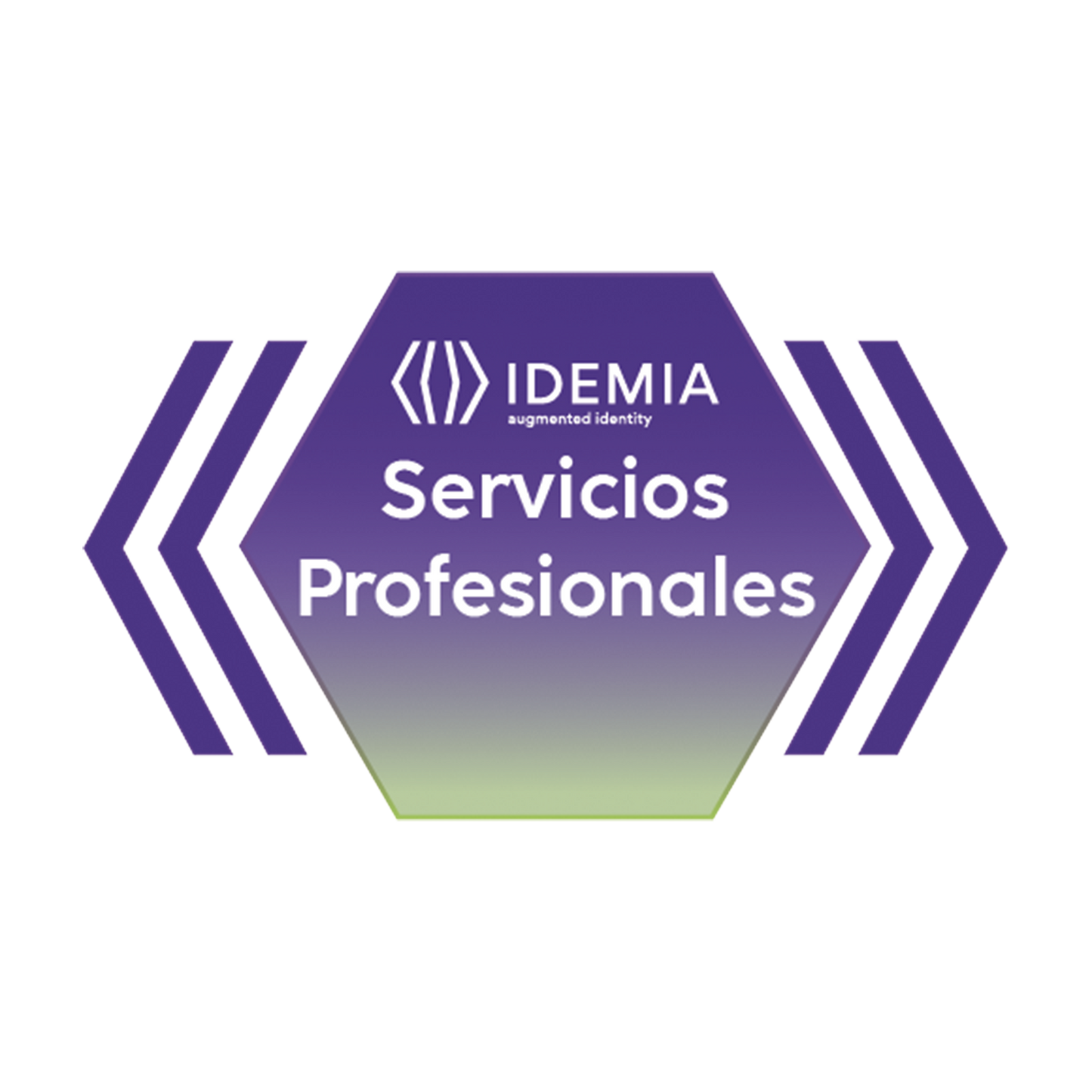 Migrar la base de datos MORPHOMANAGER de SQL CE a Microsoft SQL Server