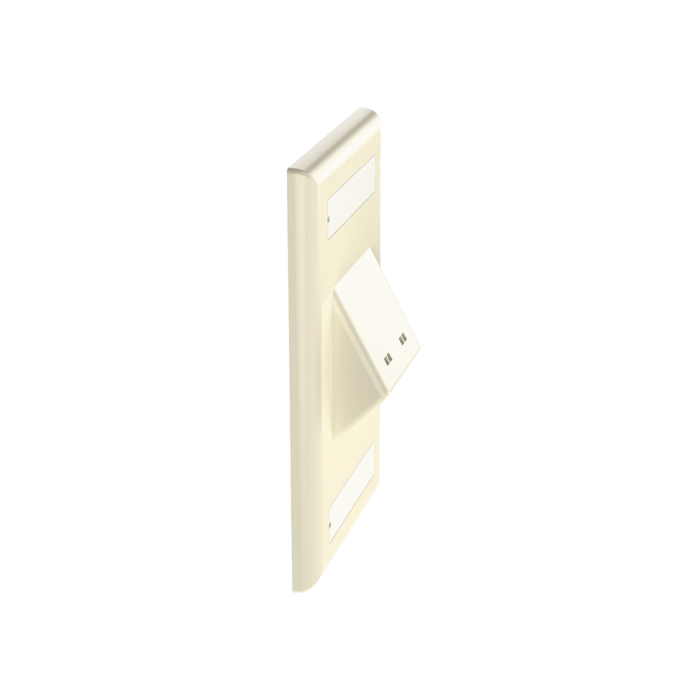 Placa de Pared Vertical Clásica, Salida Para 2 Puertos Mini-Com Inclinados, Con Espacios Para Etiquetas, Color Marfil