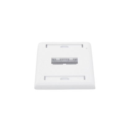 Placa de Pared Vertical Clásica, Salida Para 2 Puertos Mini-Com, Con Espacios Para Etiquetas, Color Blanco