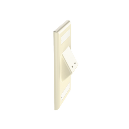 Placa de Pared Vertical Clásica, Salida Para 2 Puertos Mini-Com Inclinados, Con Espacios Para Etiquetas, Color Marfil