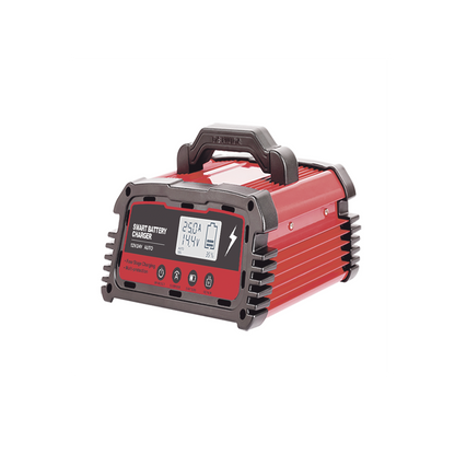 Cargador de Baterías / 12 o 24 Vcc / hasta 250 Ah / 25 A / Display LCD