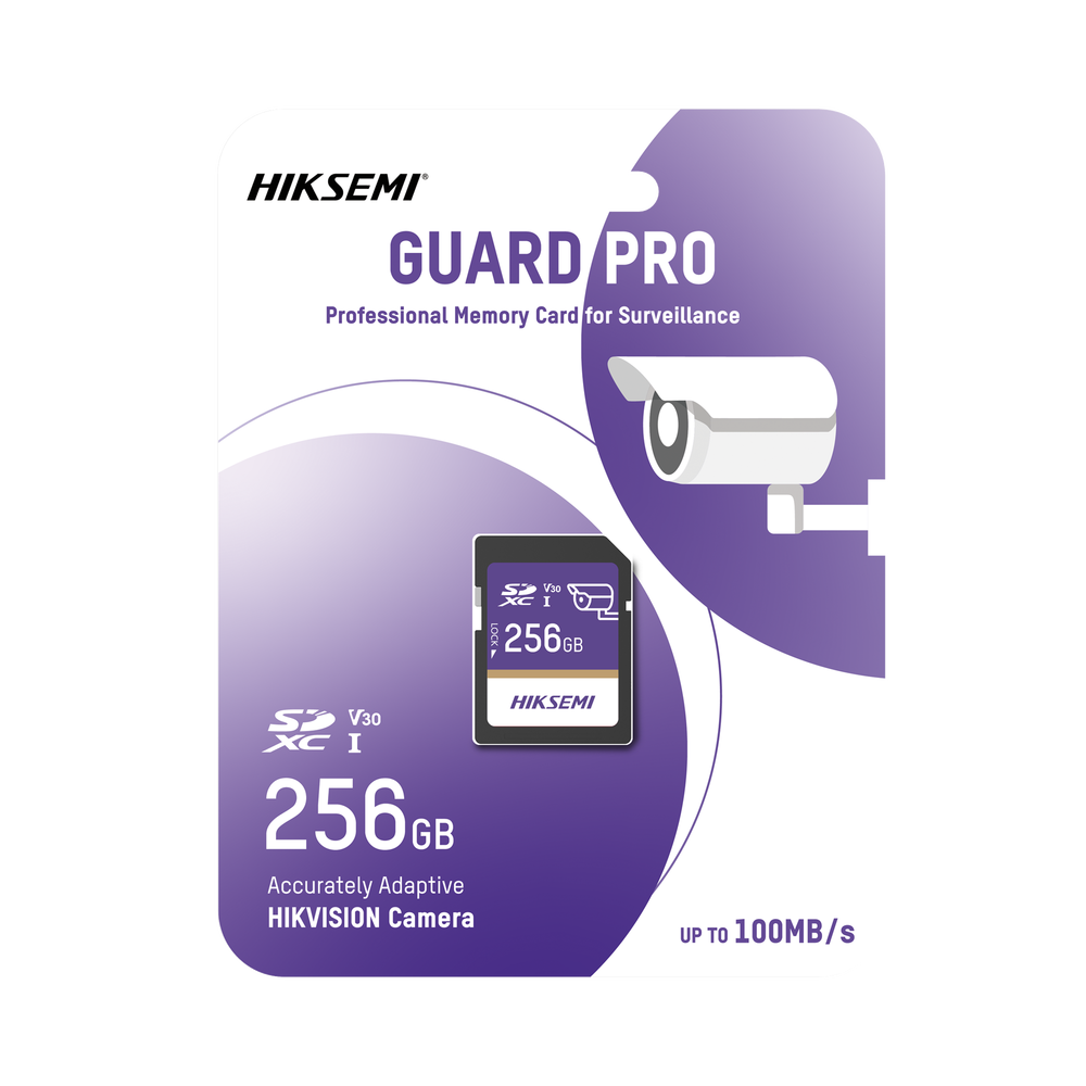 Memoria SD Clase 10 de 256 GB / Especializada Para Videovigilancia