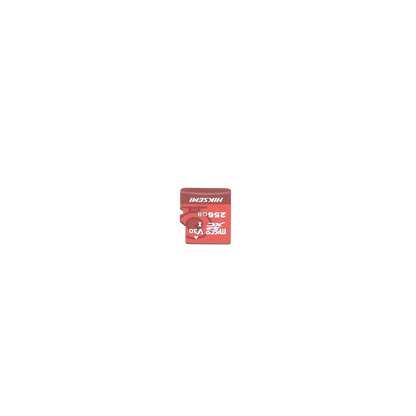 Memoria microSD / Clase 10 de 256 GB / Especializada Para Videovigilancia (Uso 24/7) / Compatibles con cámaras HIKVISION y Otras Marcas / 95 MB/s Lectura / 55 MB/s Escritura