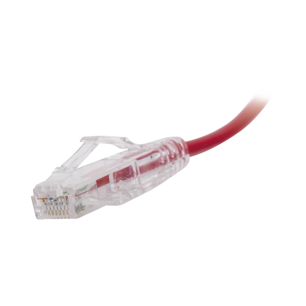 Cable de Parcheo Slim UTP Cat6 - 30 cm (11.81 Pulgadas) Rojo Diámetro Reducido (28 AWG)