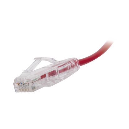 Cable de Parcheo Slim UTP Cat6 - 30 cm (11.81 Pulgadas) Rojo Diámetro Reducido (28 AWG)