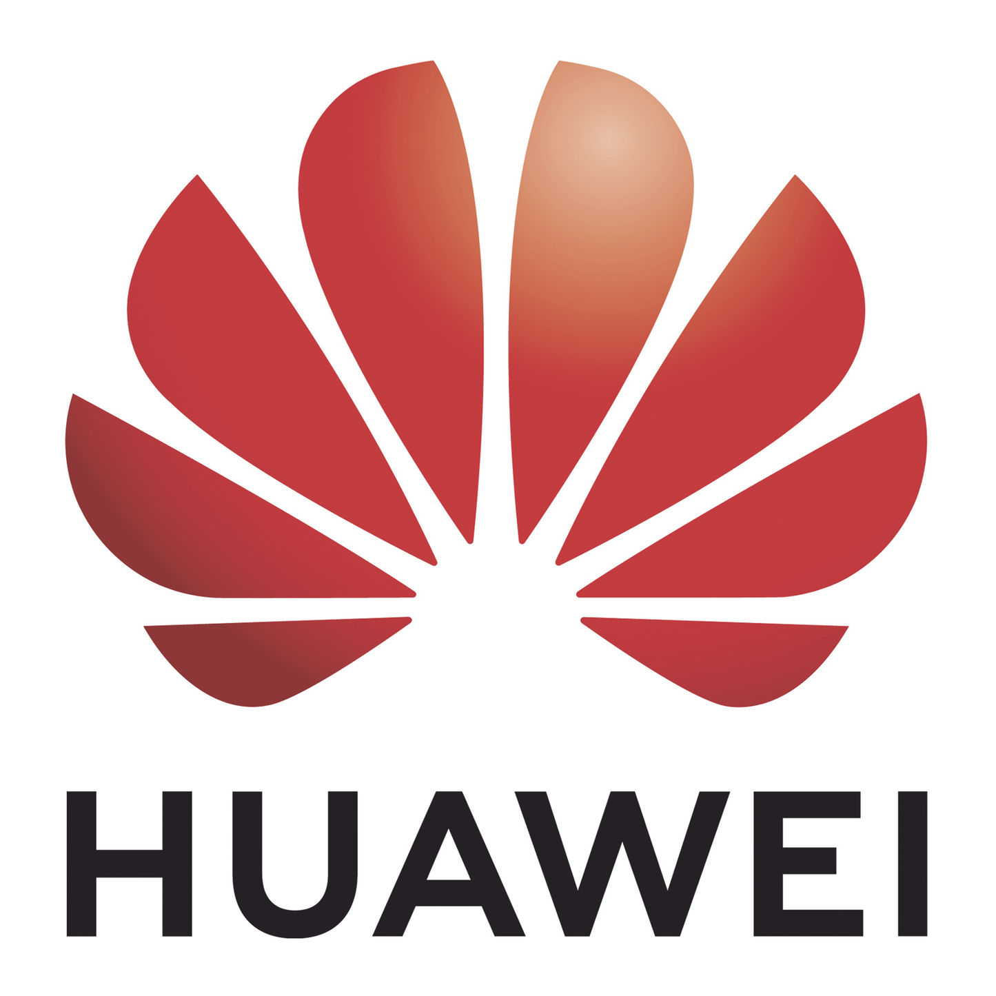 Licencia Perpetua NCE FAN LITE para Equipos GPON Huawei con 1 AÃ±o de Actualizaciones