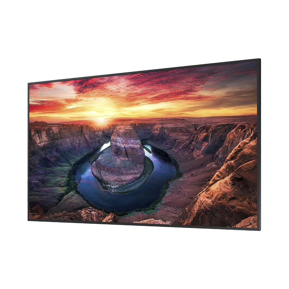 Pantalla Profesional LED de 65", UHD 4K (3840x2160p), Entradas de Video HDMI/DisplayPort, Bocinas Integradas de 10 W. Compatible VESA. Modo de Simulación DICOM