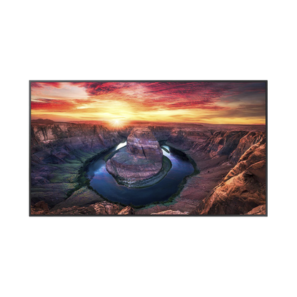 Pantalla Profesional LED de 65", UHD 4K (3840x2160p), Entradas de Video HDMI/DisplayPort, Bocinas Integradas de 10 W. Compatible VESA. Modo de Simulación DICOM
