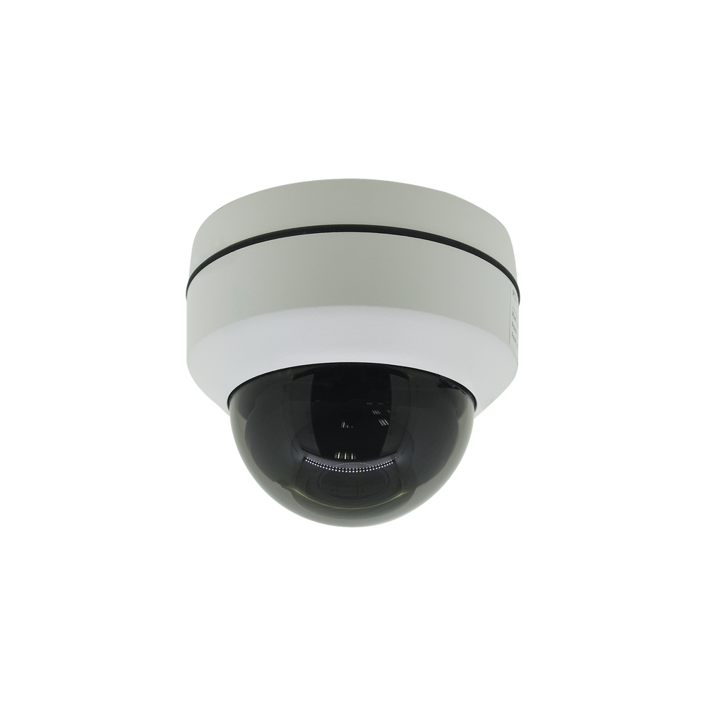 Licencia de Respaldo Local de Largo Periodo (una por servidor)