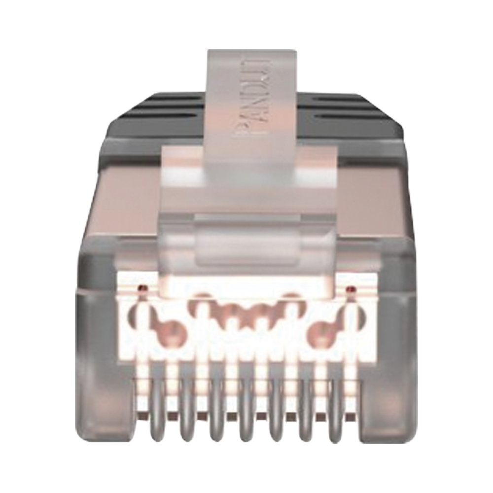Plug RJ45 Cat6 Blindado, Para Cable Calibre 24-26 AWG, Chapado en Oro de 50 micras, Paquete de 100 Piezas