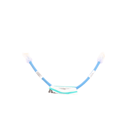 Cable de Parcheo UTP Cat6A, CM/LSZH, Diámetro Reducido (28AWG), Color Azul, 0.3 Metros (1 Pie)