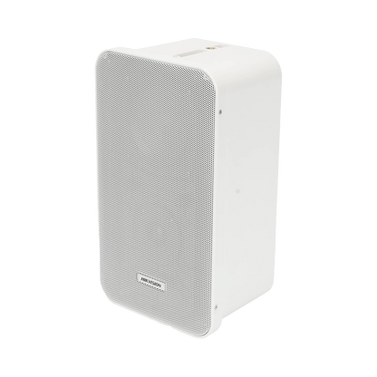 Kit de amplificador con bluetooth | 2 altavoces para pared | Sistema 100V |  2 Canales con Control de volumen Independiente |  Música Ambiental
