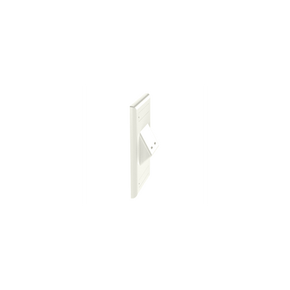 Placa de Pared Vertical Clásica, Salida Para 2 Puertos Mini-Com Inclinados, Con Espacios Para Etiquetas, Color Blanco