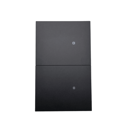 Apagador inalámbrico ZigBee 110-220V 2 GANG